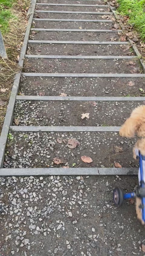 Load video: 